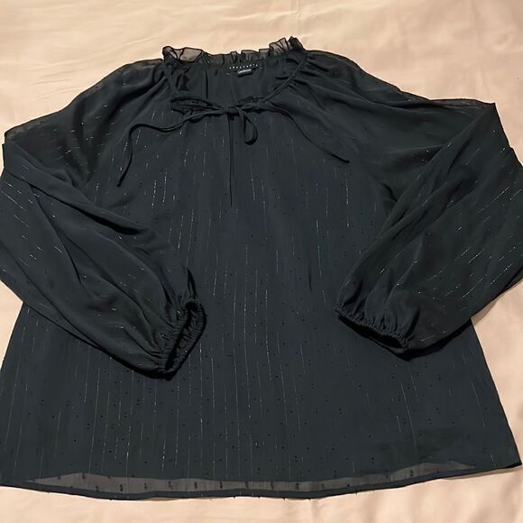 Sanctuary szXL black sheer LS blouse ties at neck Swiss dots/silver threads EUC - Picture 2 of 9